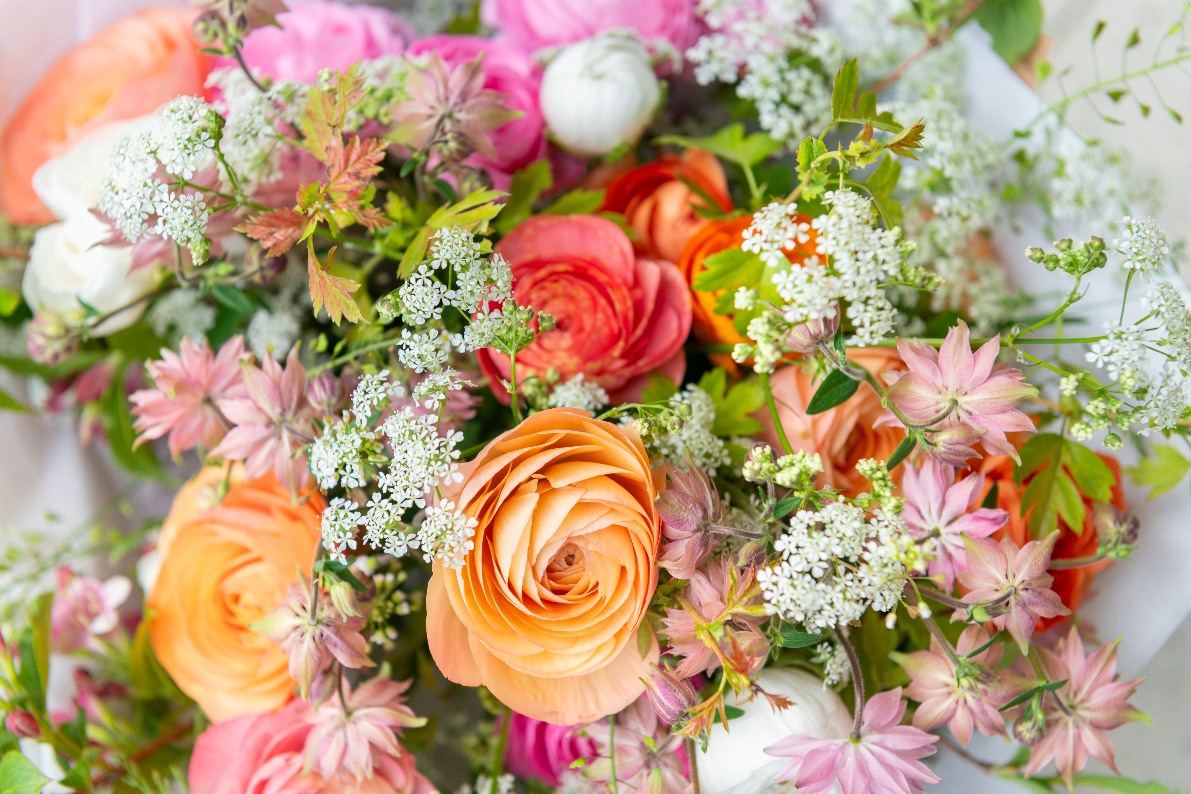 スペースクリエイター(フローリスト)